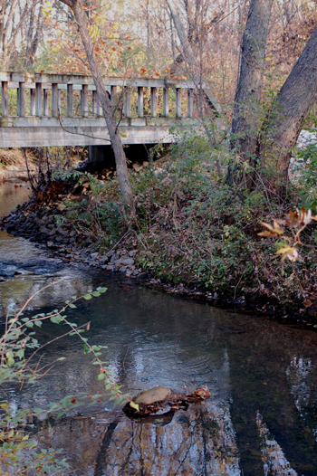 Crystal Creek bridge where Stan Rose found Murray's body