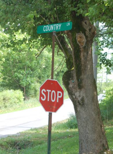 Country Lane